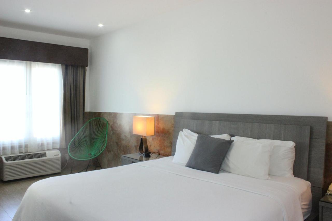 Beverly Hills: Hotel And Business Nuevo Cuscatlan Экстерьер фото
